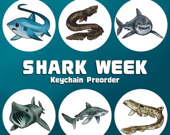 PREORDER! Shark week Keychains, 2.5” Acrylic. Thresher, Great White, Frilled Shark, Basking Shark, Epaulette Shark, Oceanic White Tip Shark.