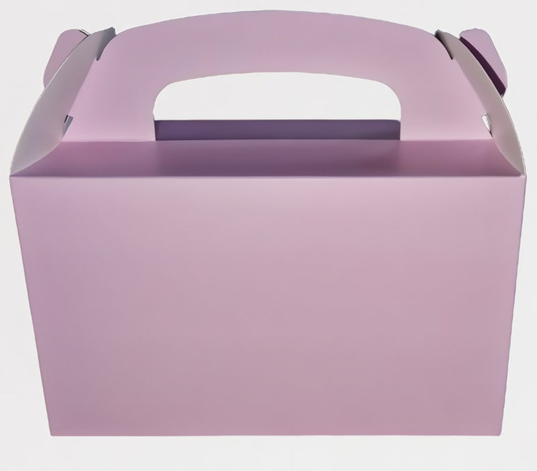 Lilac Party Food Box Gift Children's Birthday. Etsy UK