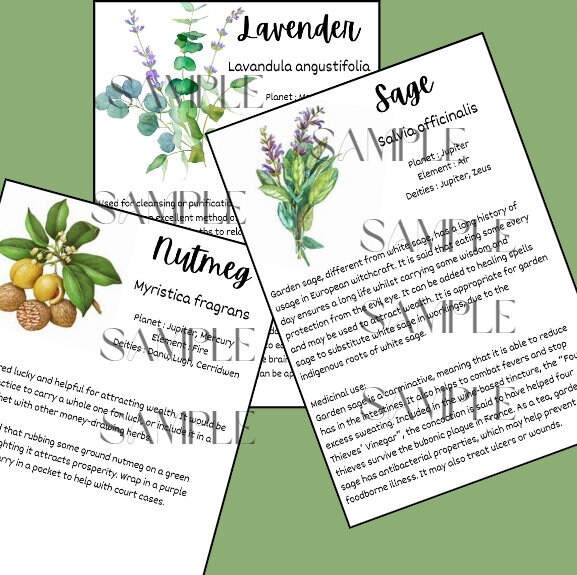 Herbalist Poster Collection. 4 Detailed Herbal Notes. Printable Posters