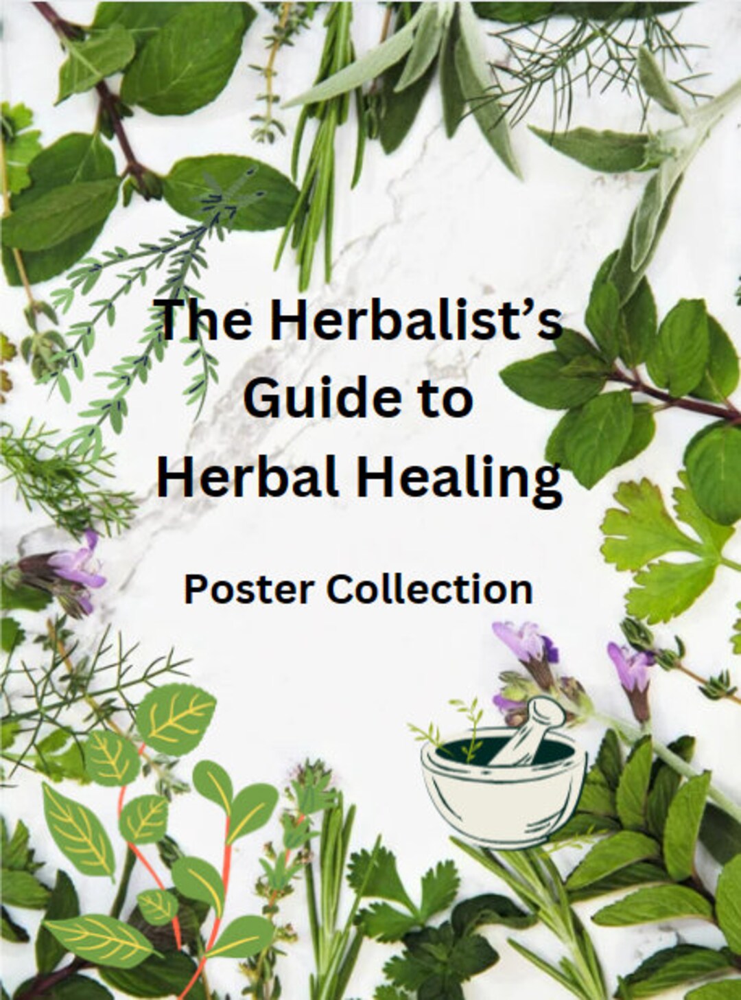 Herbalist Poster Collection. 4 Detailed Herbal Notes. Printable Posters