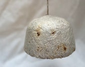 Luminaire en Mycelium 23cm x 15cm