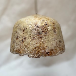 Peut inclure: Un abat-jour de lampe en céramique texturée blanc et brun avec un sommet arrondi et un fond festonné.