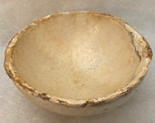 Hémisphère en Mycelium 36cm