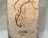 Plaque de Mycelium & gravage laser - Lyon map (France)