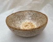 Hémisphère en Mycelium 25cm compacté