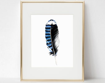Blue Jay Feather fine art print