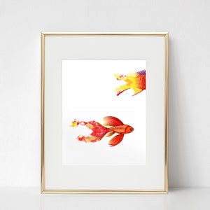Fish and a Half fine art print