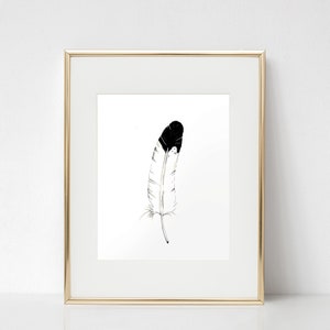 Bold Eagle Feather fine art print