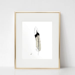 Mocking Bird Feather fine art print