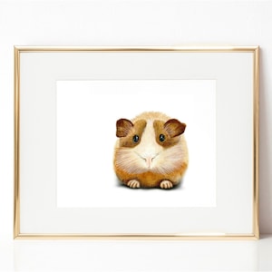 Guinea Pig fine art print