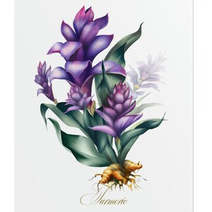 Impresión de acuarela de flor de cúrcuma, arte mural botánico