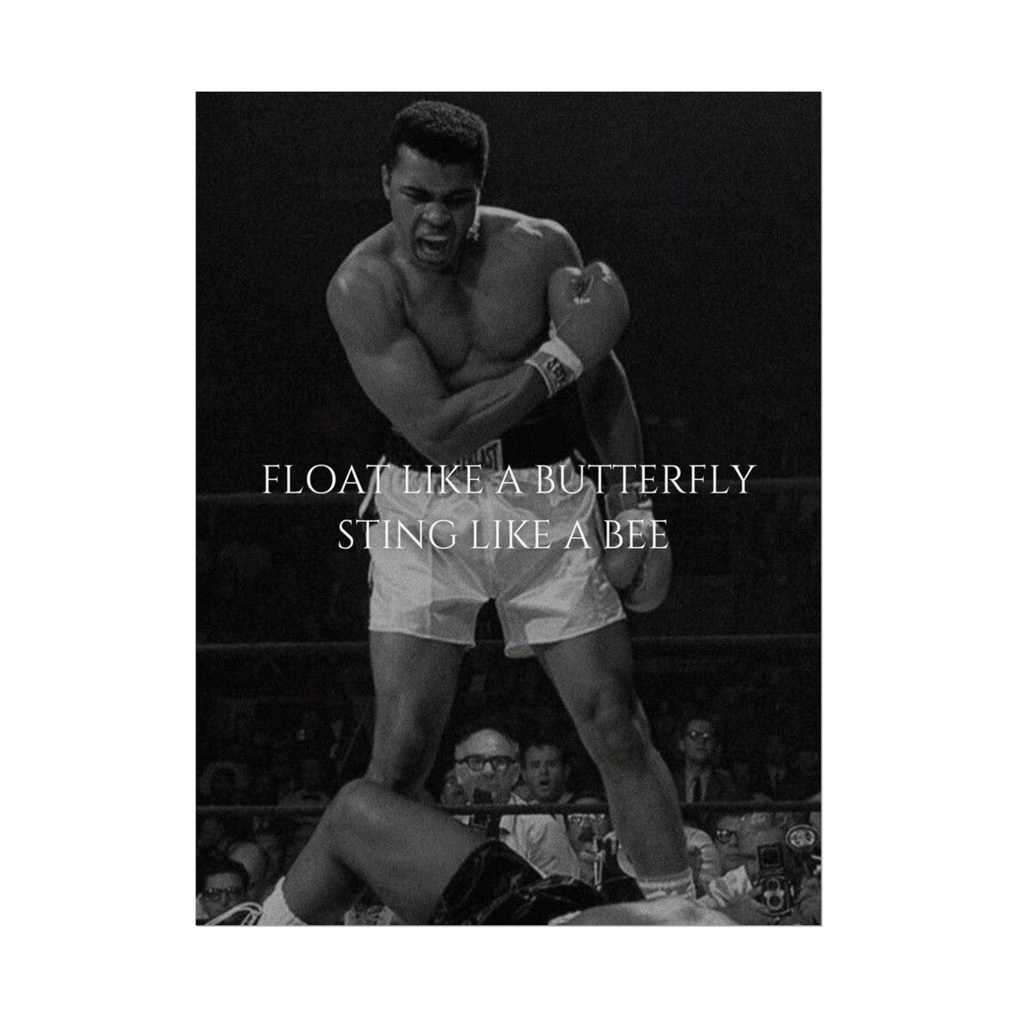 Muhammad Ali Poster | Luxury Boxing Wall Art | Exclusive Ali Print ...