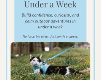 Train Your Cat to Walk on a Leash in Under a Week - A How-To eBook