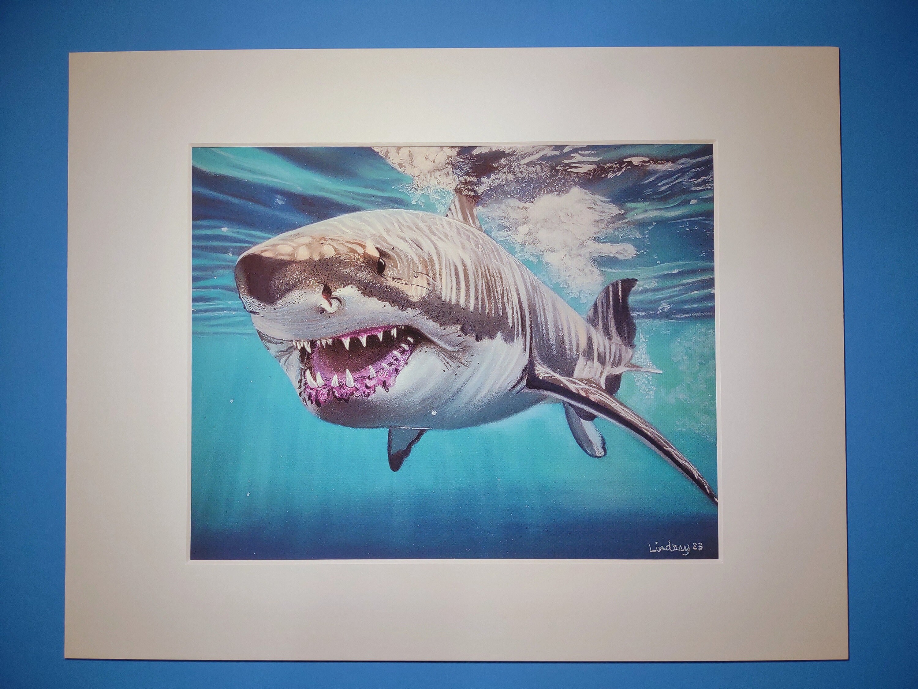 Great White Shark PRINT 10x8 - Etsy