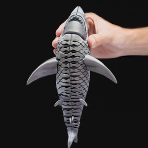 thumbnail image 2 of 3D Printed Shark Articulated Bones – Movable Desk Toy, Fidget Animal Model, Realistic Fake Fish Decor For Office Or Home (Red + Blue Set Of 2) 2 of 10