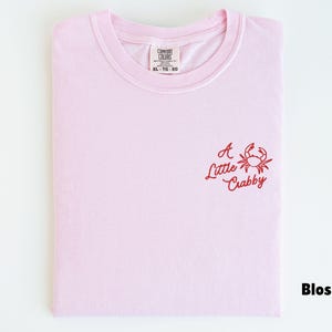 May include: A light pink t-shirt with the words "A Little Crabby" and a crab graphic embroidered in red. The shirt is folded and has a tag that reads "Comfort Colors" and the size "XL - TG - EG".