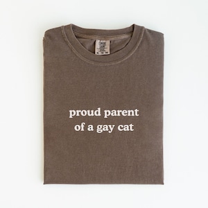 May include: A folded, brown t-shirt with the text "proud parent of a gay cat" in white. The shirt is a neutral color and has a crew neck. The tag reads XL-TG.