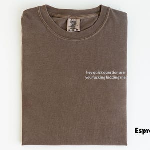 May include: Espresso-colored t-shirt with the text "hey quick question are you fucking kidding me" in white. The shirt is folded and has a Comfort Colors tag at the neckline.