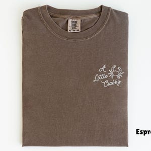 May include: Espresso-colored t-shirt with the phrase "A Little Crabby" and a crab graphic embroidered in white. The shirt is folded neatly, with the brand tag visible at the neckline. The color is a muted brown.