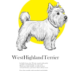 Original West Highland Terrier Drawing, Westie Fine Art Print and Mount included