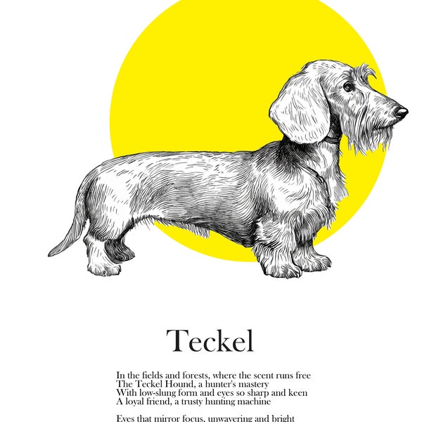 Original Teckel Drawing, Wirehaired Dachshund Fine Art Print and Mount included