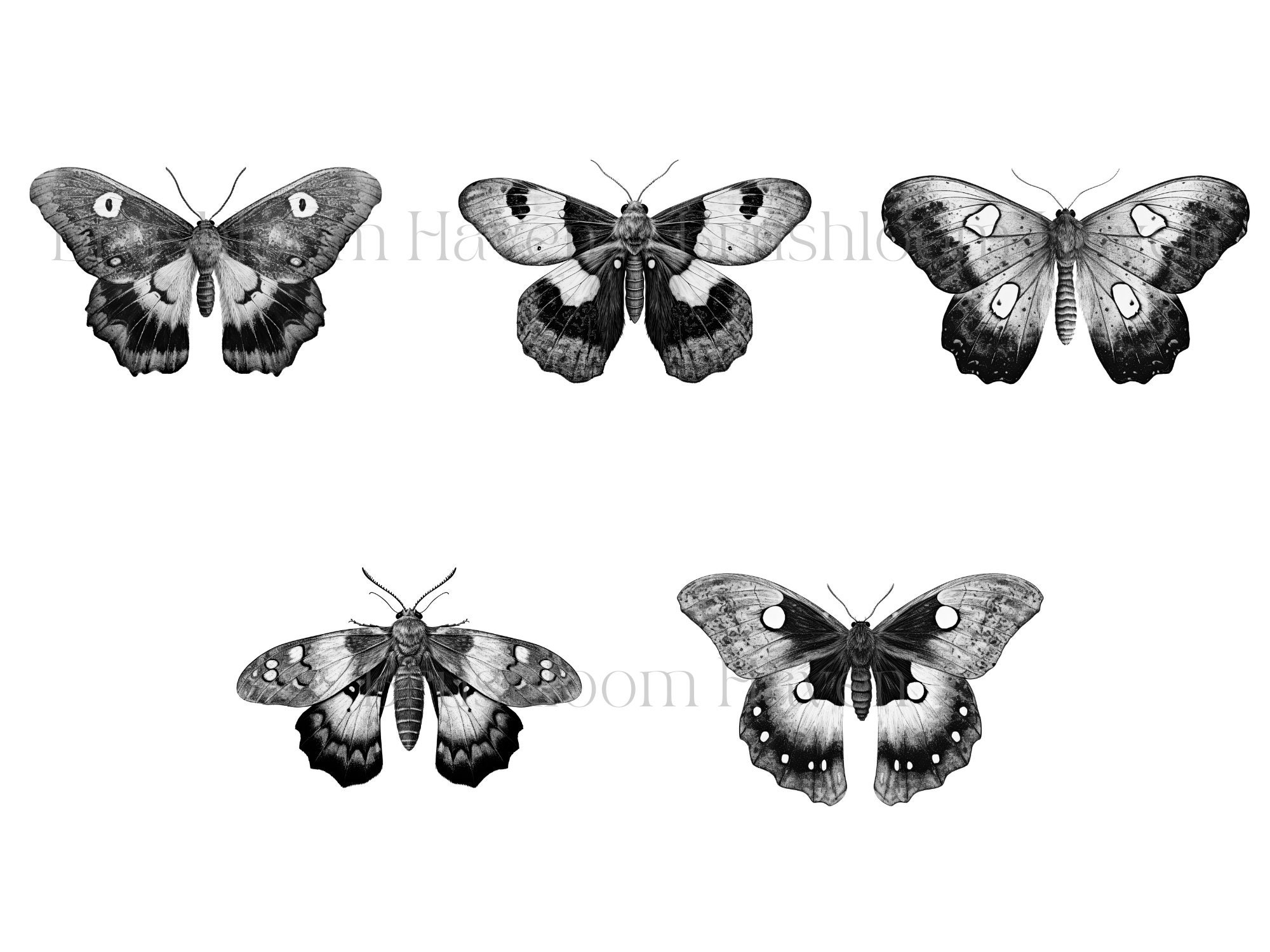 Moths 1 - Digital Brushes Set for Procreate and Photoshop - Etsy