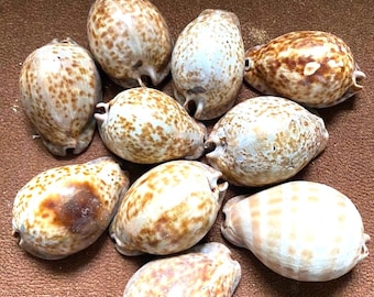Aje Olokun