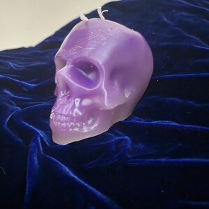 Large Skull