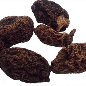 High John the Conqueror Root | Conjure | Hoodoo | Spells