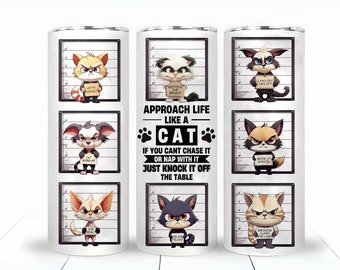 Lustige Katze 20 Unze Skinny Tumbler Wrap, mürrische Katzen Tumbler, Dumme Cat Sublimation Designs, Katzenliebhaber, digitaler Download