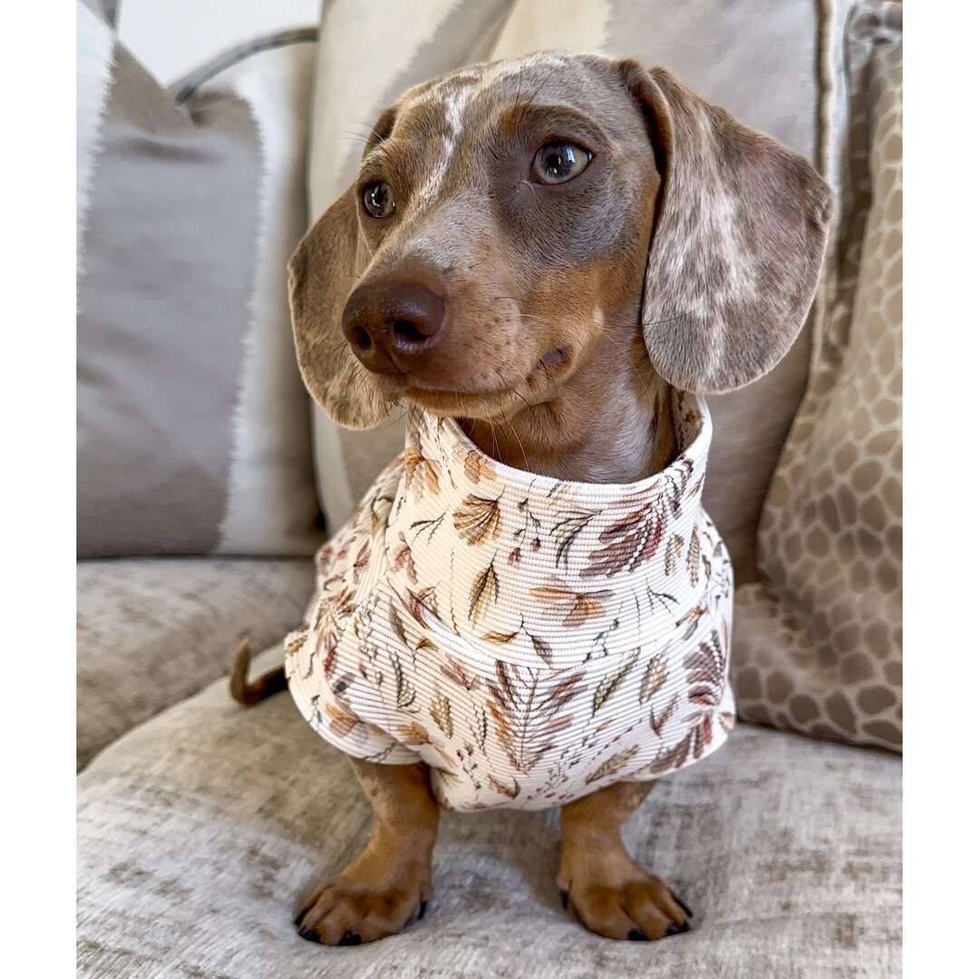 Pattern Ribbed Dachshund Jumper Etsy UK