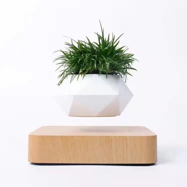 Magnetic Levitation Potted Plants, Suspended Flower Pots, Magnetic Levitation Plants, Magnetic Levitation Flowers