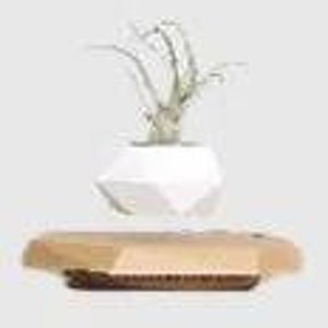 Magnetic Levitation Potted Flower Pots, Aerial Creative Bonsai Plants, Negative Ion Evolution Air Home Office Ornaments Single Suspended Potted Plant Head (without Plants)