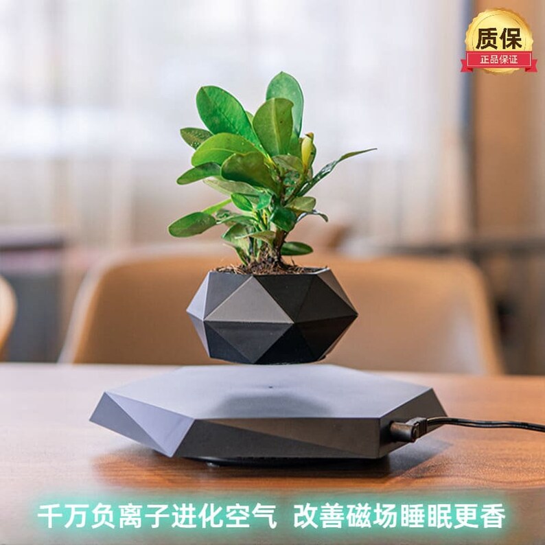 Magnetic Levitation Potted Flower Pots, Aerial Creative Bonsai Plants, Negative Ion Evolution Air Home Office Ornaments zdjęcie 2