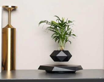 Vasi da fiori in vaso a levitazione magnetica, piante bonsai creative aeree, ornamenti per ufficio domestico con evoluzione di ioni negativi