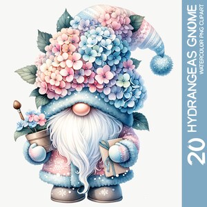 20 Incantevoli acquerello ortensie Gnome Clipart PNG Bundle - Garden Delight, Ortensie Fiore in fiore Gnomo, Design di sublimazione (2)