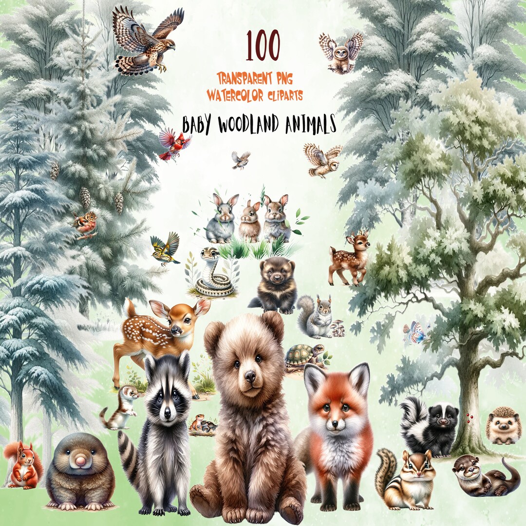 Watercolor Woodland Baby Animals Clipart: Nursery Decor (PNG Format) - Etsy