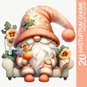 Aquarel Nasturtium Gnome Clipart-bundel: 20 PNG-afbeeldingen voor Moederdag, Floral Graphics Set, Valentijnsthema en kinderkamerdecoratie (1)