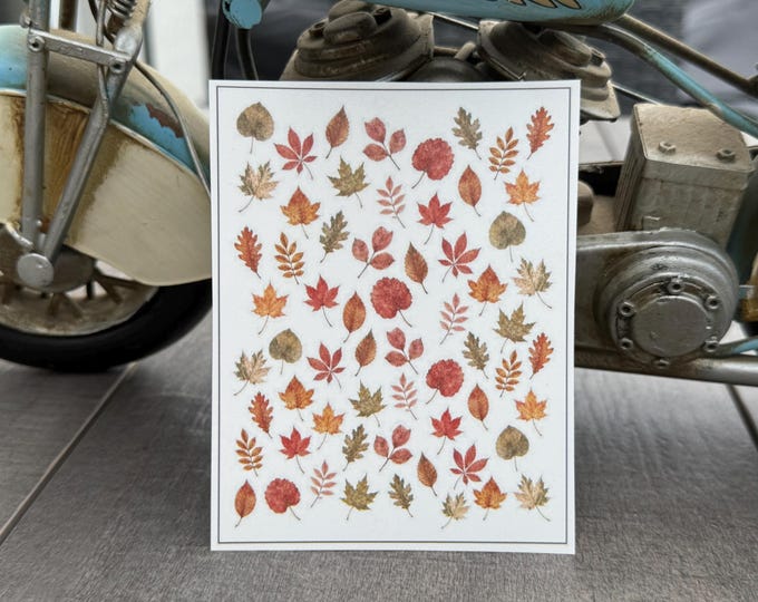 Leaf Water Nail Stickers, Water-Slide Decals, Nail Art Stickers (Foliage, Autumn, Autumn Leaves)