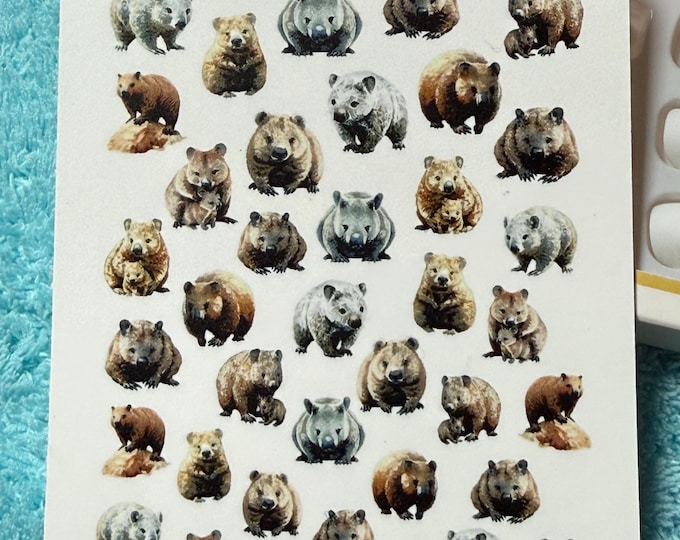 Wombat nail art water slide stickers for nails, marsupial nail stickers