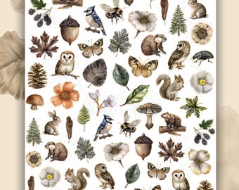 Vintage nature forest nail art water slide stickers for nails, nail stickers mushrooms, forest animals, butterflies
