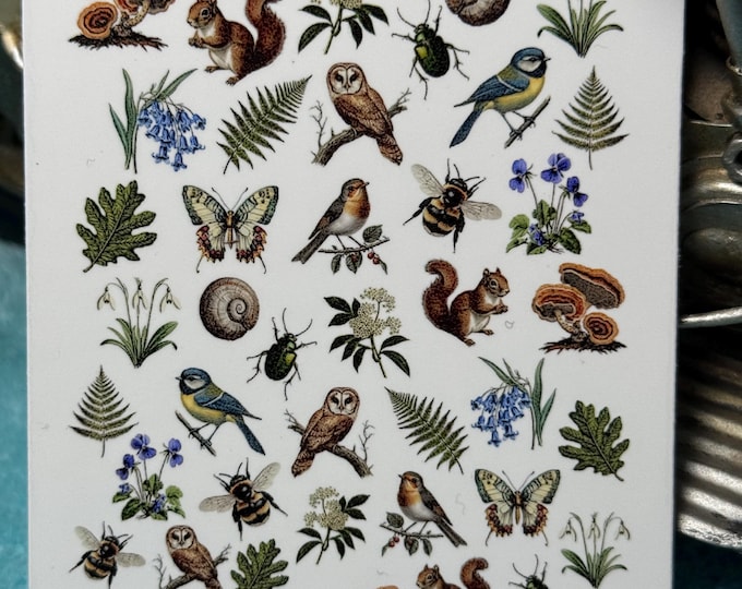 Vintage nature nail art waterslide stickers for nails, nail stickers wildflowers, woodland animals, Victorian, mushroom, insects, forest