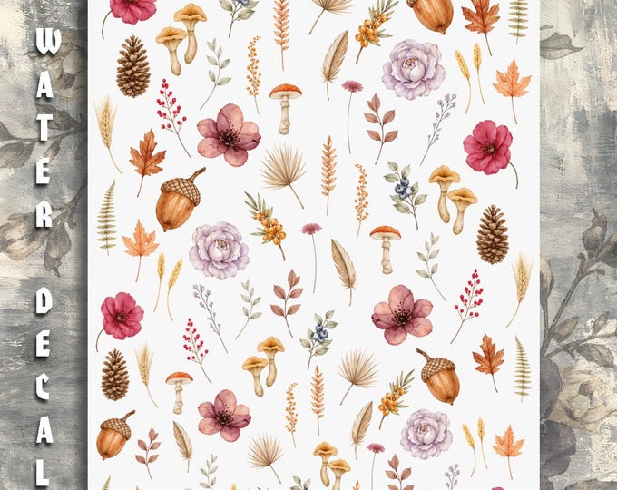 Water-Slide Nail Decals / Wild Plants / Botanical Flowers / Vintage Wildflowers / Autumn Flower Nail Art