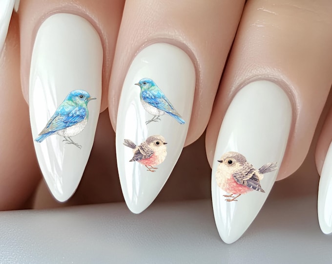 Bird Water Nail Stickers, Water Slide Stickers for Nails, Bird Nail Stickers, Songbird