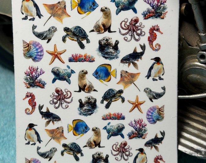Sea Animals Water Nail Stickers, Water Slide Decals, Nail Art Stickers: Sea Lion, Seal, Penguin, Starfish