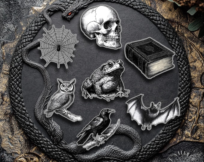 Gothic, Goth Halloween Sticker Set, Spiderweb, Skull, Book Fantasy Stickers
