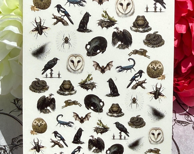 Dark Creatures Nail Art Water-Slide Decals, Animal Nail Stickers (Raven, Hedgehog, Nature)