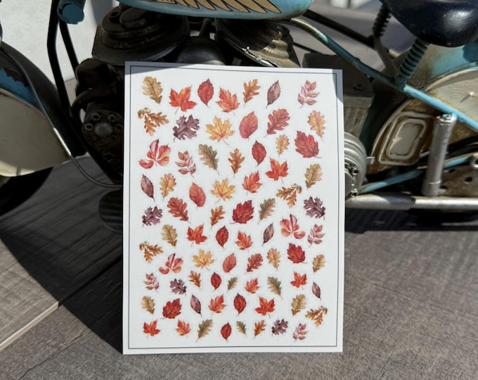 Nail Water-Slide Decals / Sheet / Botanical Leaves / Autumn Leaves / Fall Foliage Nail Art