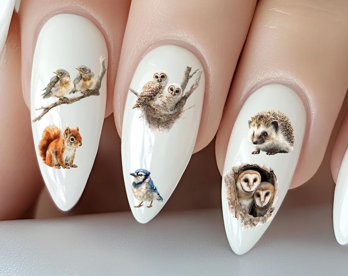 Cute Baby Woodland Animals Water Slide Nail Stickers, Woodland Animals, Hedgehog, Owl, Squirrel