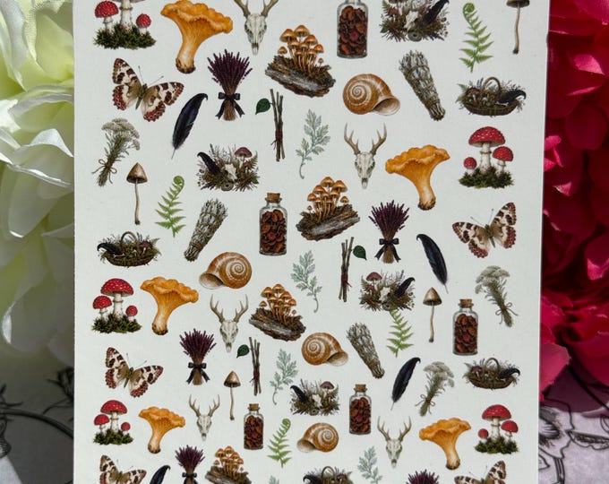 Nature-themed water-slide nail art stickers; nail decals featuring mushrooms, a snail, a feather, and a butterfly